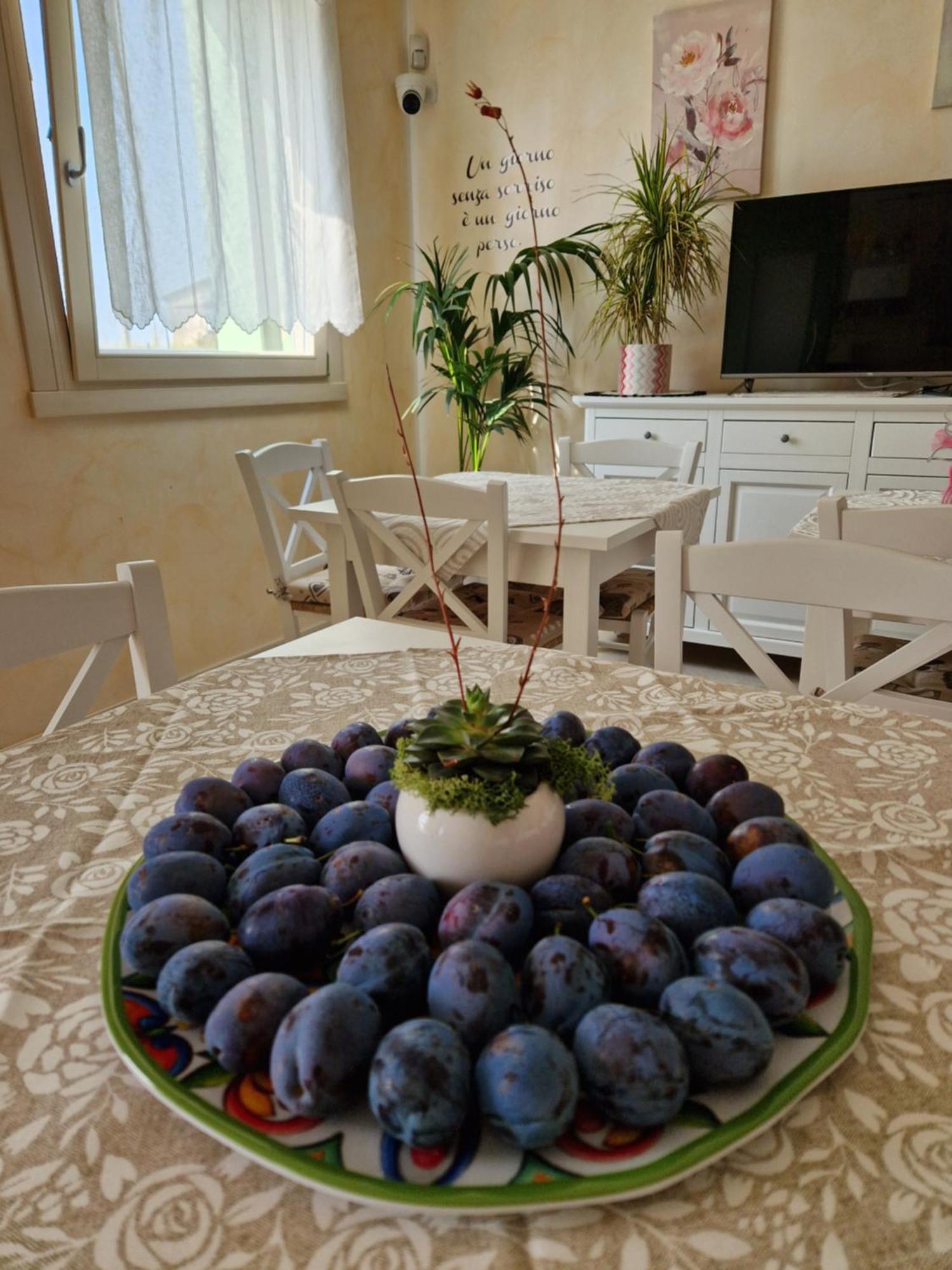 Agriturismo Fiore Bed & Breakfast *